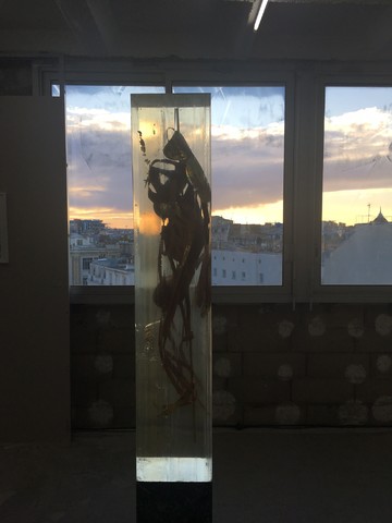 2017 - © Paris Internationale