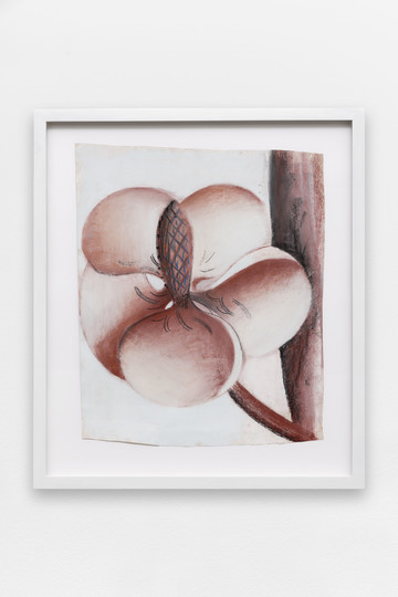 Magnolia Flower - © Paris Internationale