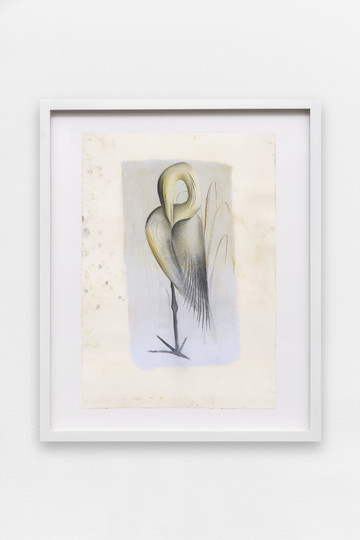 The Great Blue Heron - © Paris Internationale