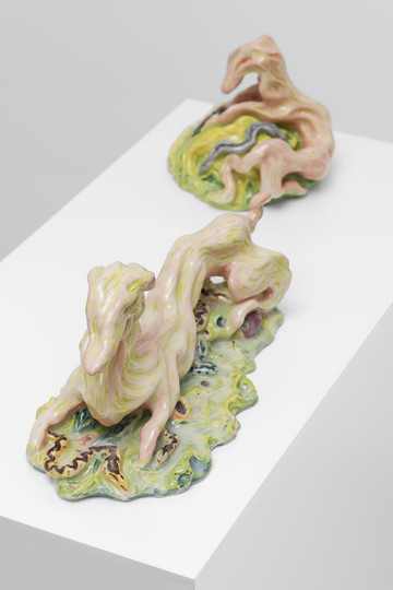 Weasel Vision - © Paris Internationale