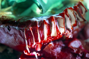 Image by Diane Severin Ngyuen - © Paris Internationale