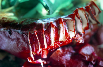 Image by Diane Severin Ngyuen - © Paris Internationale