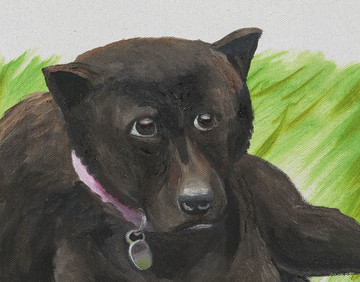 Zu Zu - © Paris Internationale