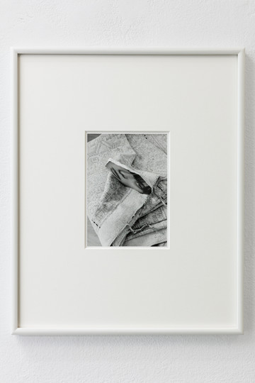 Ermes - Ermes - © Paris Internationale