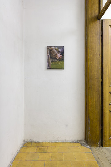 Ermes - Ermes - © Paris Internationale