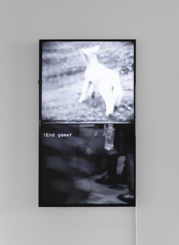 5 Stock/Gangway (chat), 2017 & 2019 - © Paris Internationale