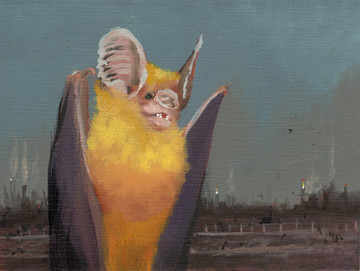 Bat Opera - © Paris Internationale