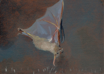 Bat Opera - © Paris Internationale