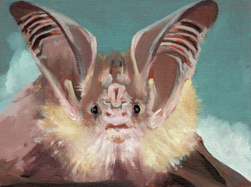 Bat Opera - © Paris Internationale