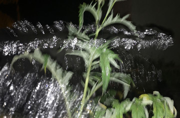 Pauline Perplexe - © Paris Internationale