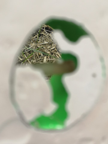 Pauline Perplexe - © Paris Internationale