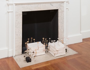 Installation view, Mushrooms: The art, design and future of fungi, Somerset House, London, 2020 - © Paris Internationale