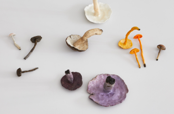 Sans titre (2016) - © Paris Internationale