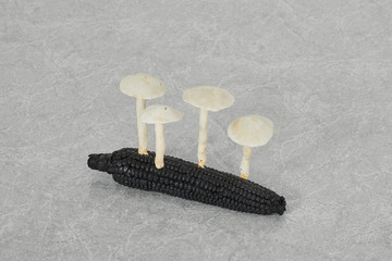 Burnt Corn Blotched Woofwax, 2020 - © Paris Internationale