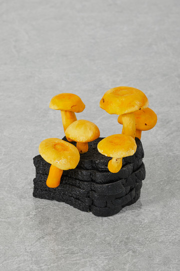Burnt Toast False Saffron Milkcap, 2020 - © Paris Internationale