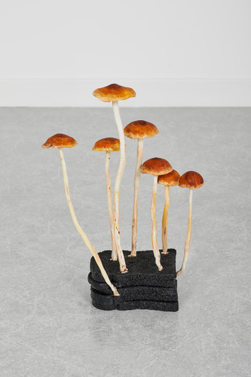 Burnt Toast Scruffy Twiglet, 2020 - © Paris Internationale