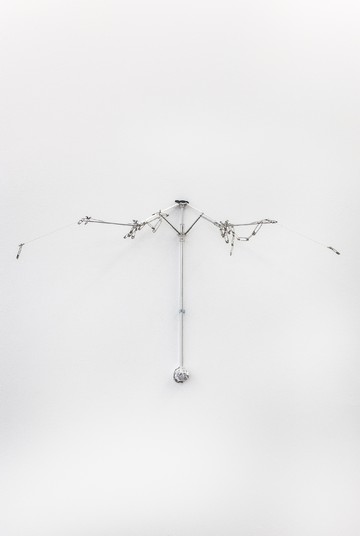 Every Insurance - © Paris Internationale