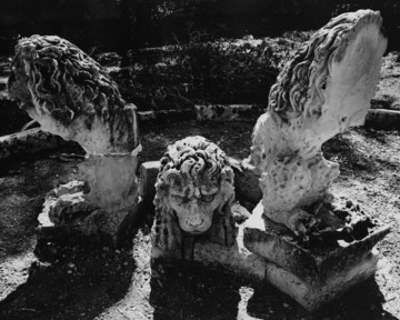 Face Off II - © Paris Internationale