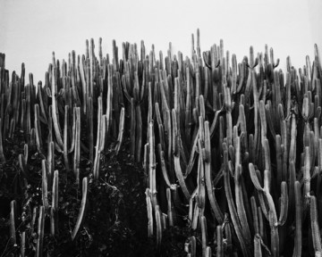 Untitled - © Paris Internationale
