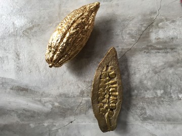 Seeds Of Gold, Turn Fertile Land to Stone - © Paris Internationale