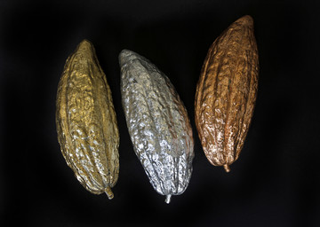 Seeds Of Gold, Turn Fertile Land to Stone - © Paris Internationale
