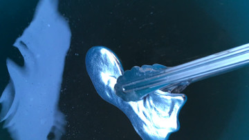 Kayokoyuki - © Paris Internationale