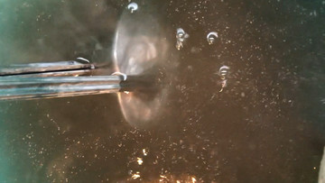 Kayokoyuki - © Paris Internationale