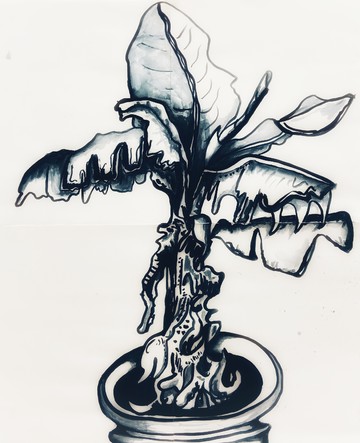 Banana Plant Finale - © Paris Internationale