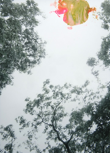 From virgin - © Paris Internationale