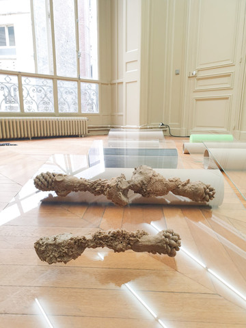 Uchronia's Seeds - © Paris Internationale