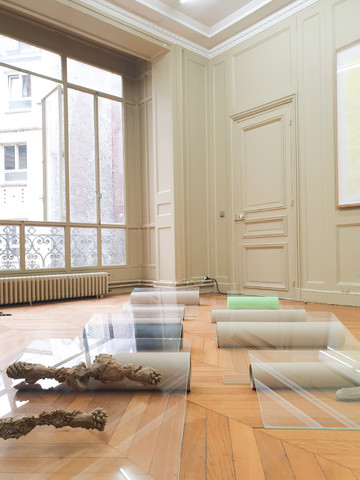 Uchronia's Seeds - © Paris Internationale