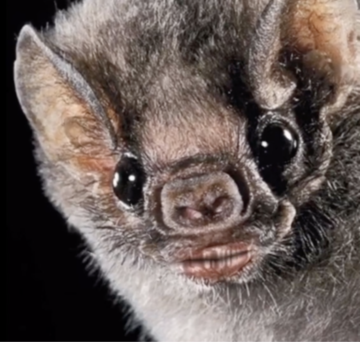 Untitled (AB) - © Paris Internationale