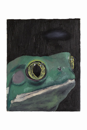 Leonel Salguero, Leonel, Salguero, Galería Agustina Ferreyra - © Leonel Salguero, Paris Internationale