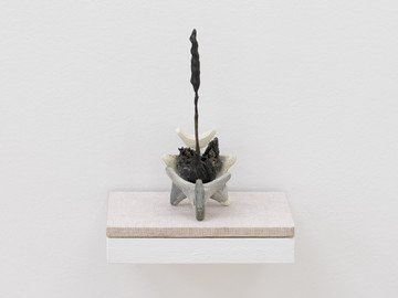 Trellis and Seed - © Paris Internationale