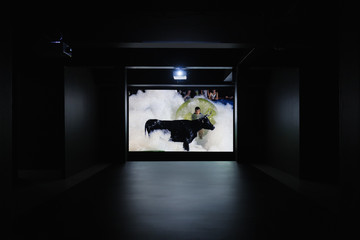 Delgosha - © Paris Internationale