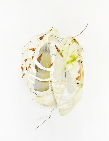 Chest (Autumn) - © Paris Internationale