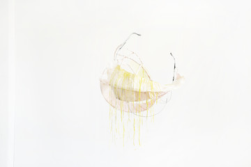 Chest (Yellow Drizzle) - © Paris Internationale