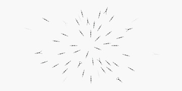 Sync 8 - © Paris Internationale