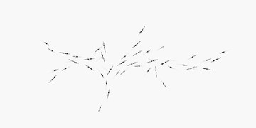 Sync 6 - © Paris Internationale