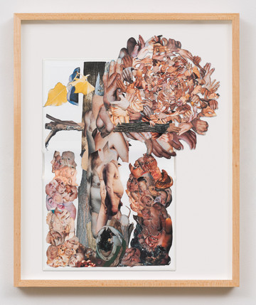 Justine Kurland collage - © &copy; Justine Kurland, Paris Internationale