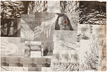 Galeria Jaqueline Martins - © Paris Internationale