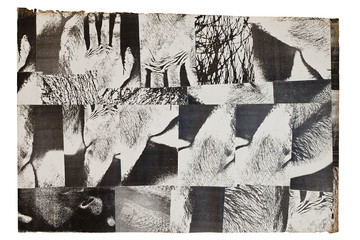 Untitled (7164) - © Paris Internationale