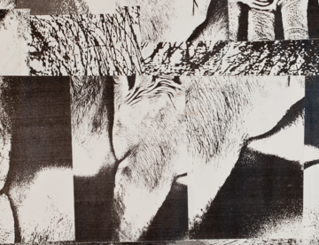 Untitled (7164) - © Paris Internationale