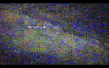 t҈̡̳͈̬̥̮̿̊͡ḛ̸̛̩̘̲̘͐͗͗̒̐͜m̵̨͎̮̍̉̕̚p̵̧͖̠̥̯͉̏̃͊͗̚͞o҉̡̗͎͐͐͗͠r̷̡͈̣̅̅͠a̸̧̖̯̒͒͡r̶̡̛͈̤̙̱̓̽̇͒͌y̷̨̳̦̲̪̌͋͋́͐͝ͅ t̵̨͍͈̥̟̃̔͡r҈̧̖̩͎͎̰̓̋́̄͞a҉̢̛͇̬͙̍̌̀́͋n̷̦̣͈͌̓̂̐̕͜ṡ̵̫͓̀͐̇̕͢i̴̡̞͉͇̣͋̂͛̕̚̚t̷̢̪͕͖҇̏̿͆͒i҉̡͇͙̀̊͡ǫ̷̩̯͍̥̳͋̔͞n҈̧͉̤̆͐̉́̑͠s̶̢͉̦͙̰̔͆̚͞ͅ - © Paris Internationale