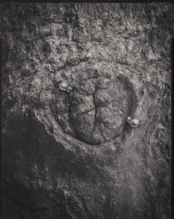 Through - © Paris Internationale