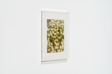 Growth (Oxeyes) - © Paris Internationale