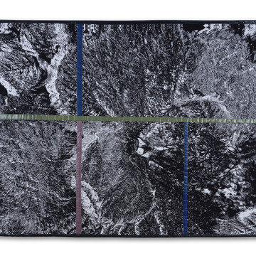 A Growing Landscape (IV) - Textile 01 - © Paris Internationale