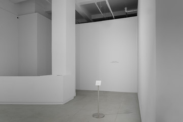 Installation view, The Depression of Belgium, 2022, Chapter NY, New York - © Paris Internationale