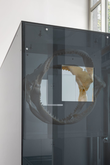 Everybody feels the wind blow, 2022 - © Paris Internationale