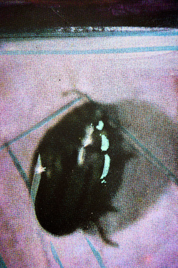 Untitled - © Paris Internationale